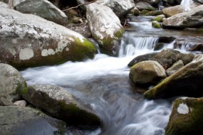 Streams at the Great Smoky Mountains