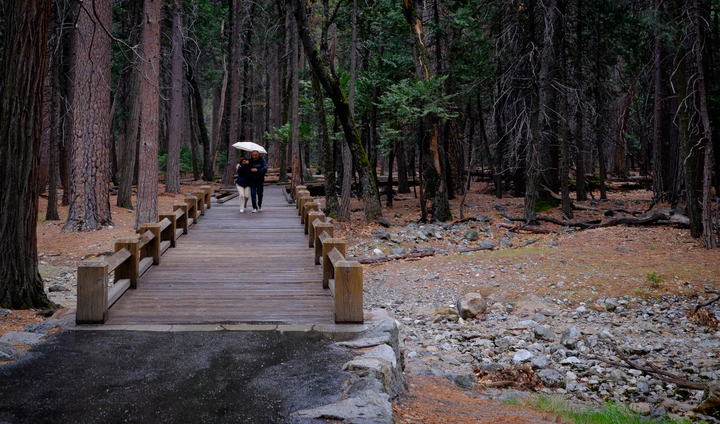 One of my favorite pictures from my recent trip to Yosemite