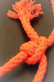 The Tautline Hitch